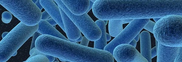 bacterias resistentes a antibióticos